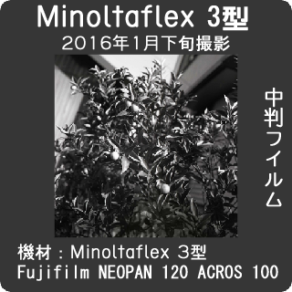 Minoltaflex3型試写