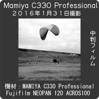 MAMIYA C330 Professional試写